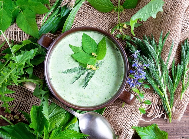 Beliebte Wildkräuter-Rezepte