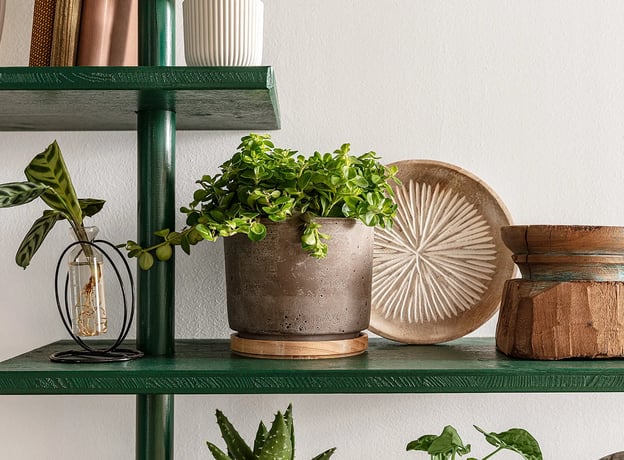 Passende Dekoration und tolle Accessoires