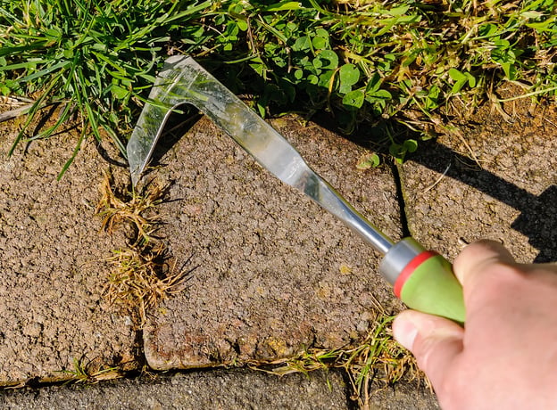 Pflegetipps für Beeteinfassungen