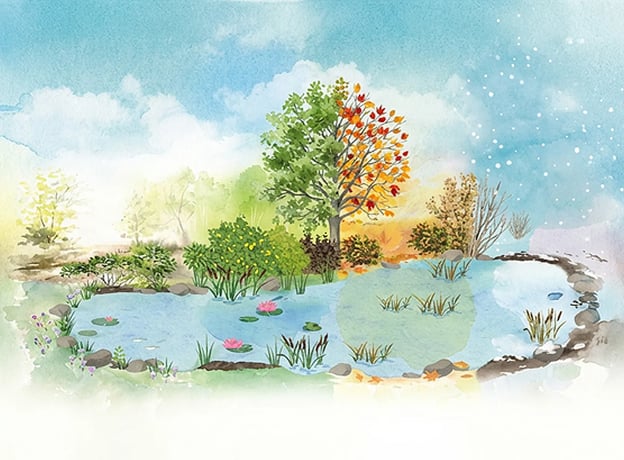 Die richtige Gartenteichpflege das ganze Jahr über