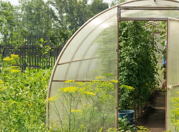 n/a