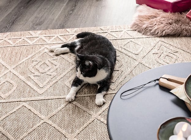 Weihnachtliche Wohlfühlstimmung für Ihre Katzen und Sie