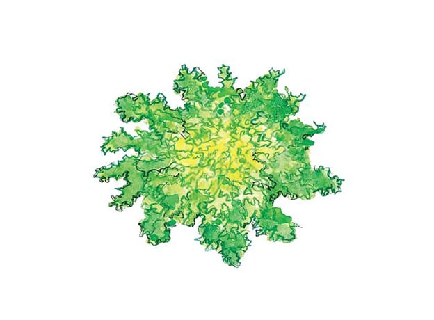 n/a