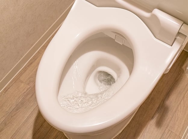 Wasserverbrauch bei der WC-Spülung senken
