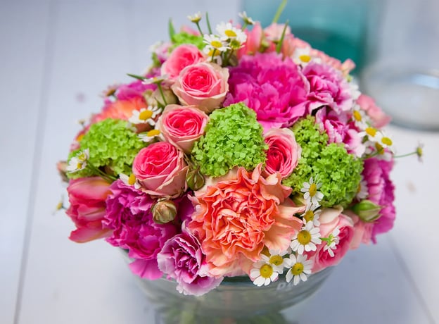 Die schönsten Farb-Kombinationen von Frühlingsblumen
