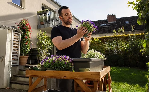 Dauer-Gut-Preis Garten Balkon