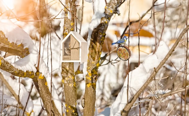 Zwei Futterhäuschen für Wildvögel, ein helles Holzhaus und eine runde Futterglocke, hängen in einem verschneiten Baum.