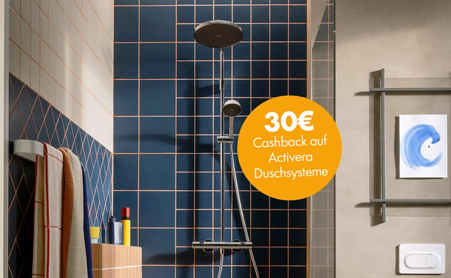 hansgrohe bei bauhaus kaufen