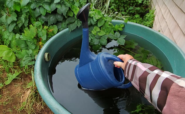Regenwasser sammeln