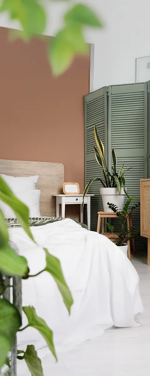 BAUHAUS Pflanzen fürs Schlafzimmer