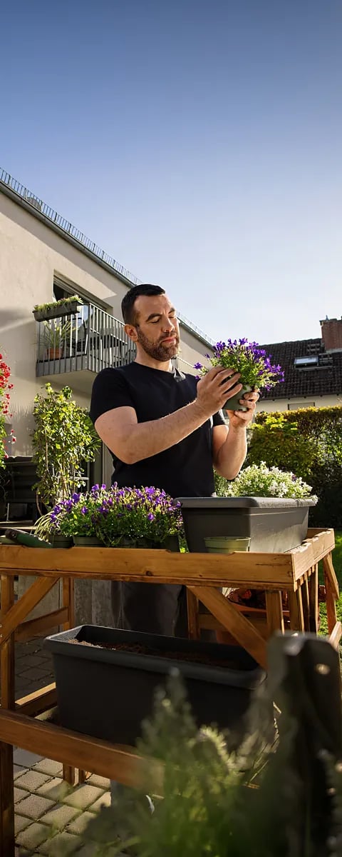 Gartenszene mit dunkelgrauem Hochbeet, hölzernem Frühbeet und offenem Sack gelber Gardol Pflanzerde.