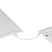 Ledvance LED-Unterbauleuchte Cabinet Sensor (30 x 20 x 0,8 cm, 14 W, Warmweiß) | BAUHAUS