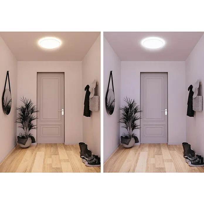 Müller-Licht Tint LED-Panel rund Loris - 30 W, Ø x H: 450 mm x 5,1 cm, Weiß, Warmweiß - Helle LED-Deckenleuchte, ideal für Flur oder Eingangsbereich, sorgt für angenehmes Licht und eine moderne Atmosphäre.