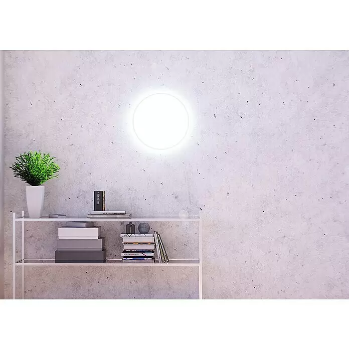 Müller-Licht Tint LED-Panel rund Loris - 30 W, Ø x H: 450 mm x 5,1 cm, Weiß, Warmweiß - Weißes Metallregal mit Büchern, Topfpflanze und Dekoartikeln vor Betonwand mit leuchtender Kreislampe.
