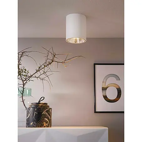 Eglo  LED-Deckenleuchte rund POLASSO