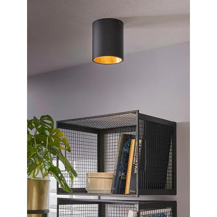 Eglo LED-Deckenleuchte rund POLASSO - 3,3 W, Ø x H: 100 mm x 120 cm, Schwarz/Gold, Warmweiß - Eine zylindrische Deckenleuchte in Schwarz mit goldenem Inneren, die einen eleganten Akzent im Raum setzt.