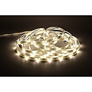 Tween Light Tira LED (Largo: 10 m, Color de luz: Blanco cálido, 13 W)