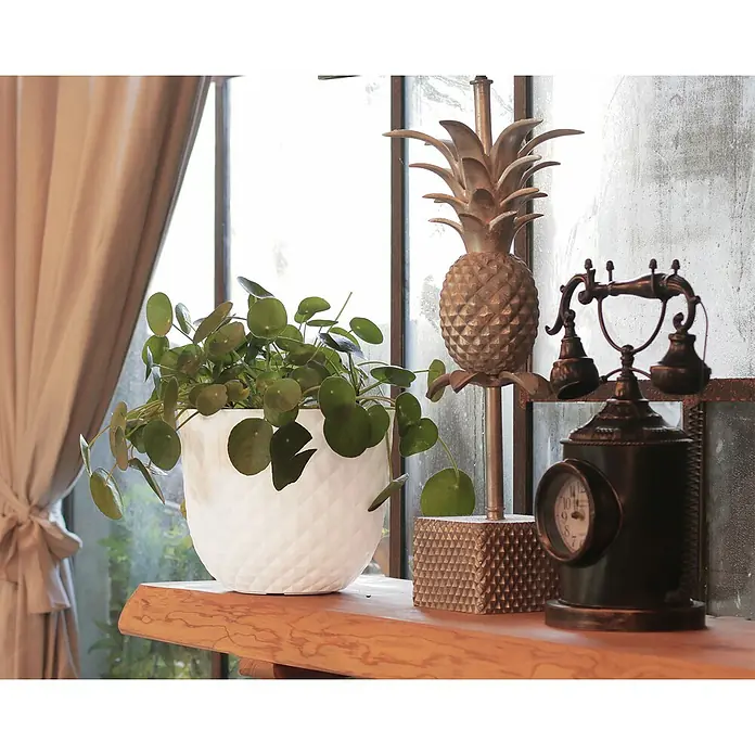 Artevasi Pflanztopf Havana Tropical - Außenmaß (Ø x H): 30 x 25 cm, Kunststoff, Granit - Nahaufnahme eines Zimmerpflanzentopfes, einer goldenen Ananasfigur und eines Vintage-Uhrentelefons auf einem Holztisch.
