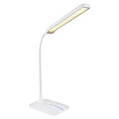Globo LED namizna svetilka  (4 W, Do x Š x V: 43 x 12,8 x 69 cm, Hladno bela) | 3056 - Schreibtischleuchte | CACJ - Tischleuchte | CAC - Indoorleuchten | CA - Beleuchtung | C - Elektro | BAUHAUS