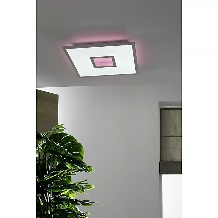 LED-Deckenleuchte Ellia - 24 W, L x B x H: 45 x 45 x 5 cm, Weiß, RGB - Moderne quadratische LED-Deckenleuchte mit weißem und rosa Licht, spendet Umgebungslicht in einem Raum mit Pflanze.