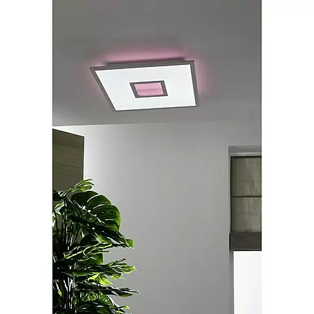 LED-Deckenleuchte Ellia