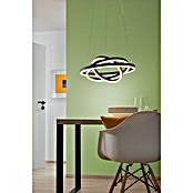 Lavida Ring LED-Pendelleuchte rund (55 W, Ø x H: 50 x 120 cm, Schwarz, Mehrfarbig) | BAUHAUS