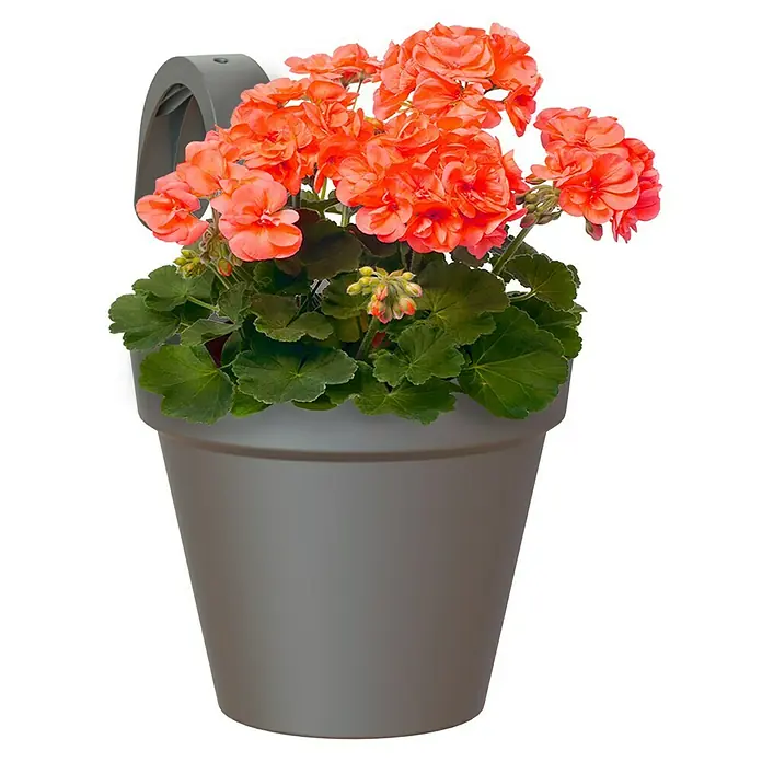 Artevasi Capri Geländertopf - Außenmaß (Ø x H): 20 x 28 cm, Kunststoff, Anthrazit - Attraktiver Geranien-Blumentopf, ideal für Balkone und Gärten. Seine leuchtenden Blüten bringen Farbe und Freude in jeden Außenbereich.