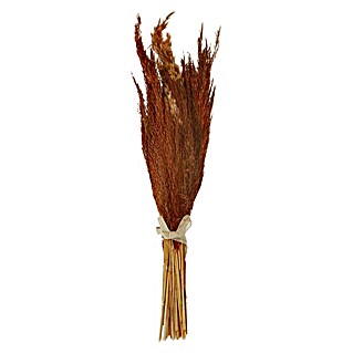 Trockenblumenstrauß (Länge: 50 cm, Kupfer)