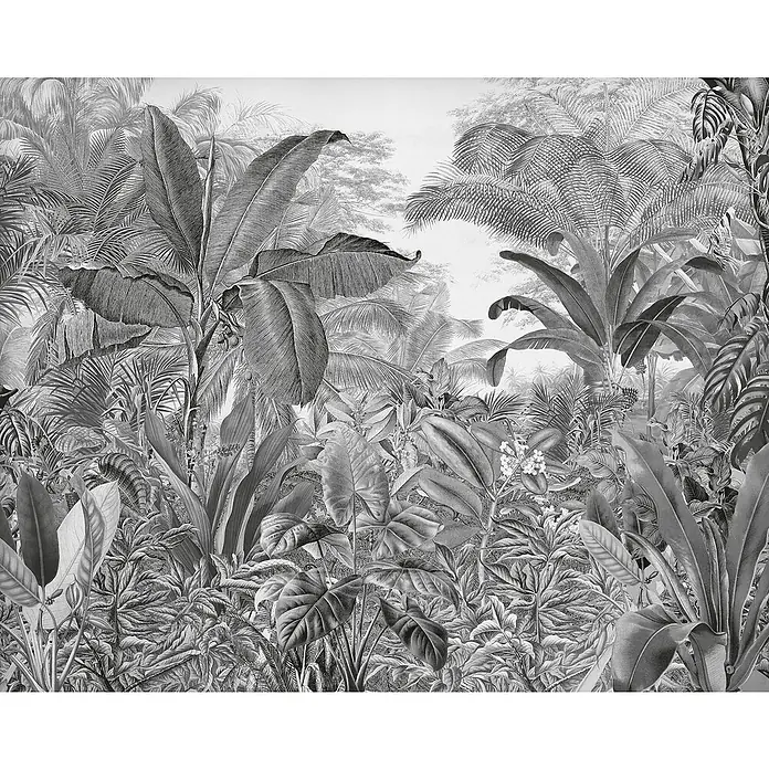 Komar Fototapete Roraima - B x H: 350 x 280 cm, Vlies - Schwarz-Weiß-Dschungelbild mit üppiger Vegetation und dichter tropischer Pflanzenwelt, perfekt für eine stimmungsvolle Wandgestaltung.