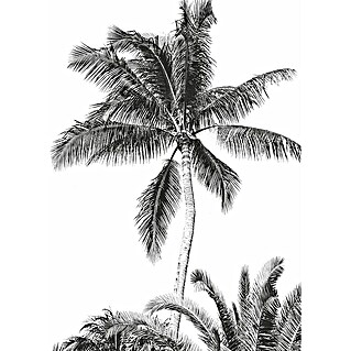 Komar Fototapete Retro Palm (B x H: 200 x 280 cm, Vlies)