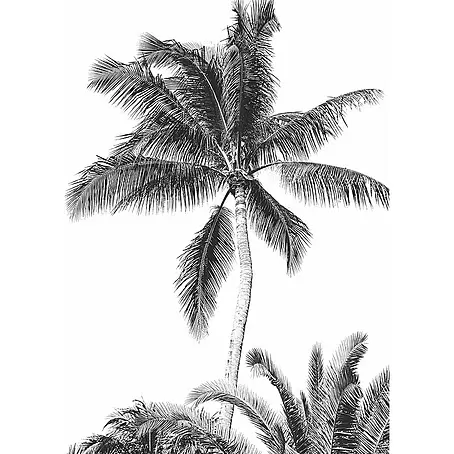 Komar  Fototapete Retro Palm