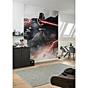 Komar Star Wars Fototapete Vader Dark (B x H: 200 x 280 cm, Vlies) | BAUHAUS