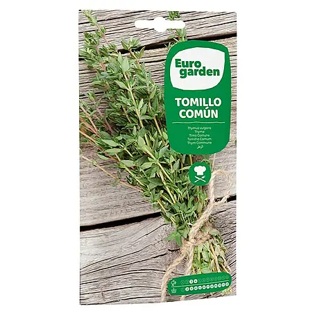 Euro Garden  Semillas de hierbas Tomillo