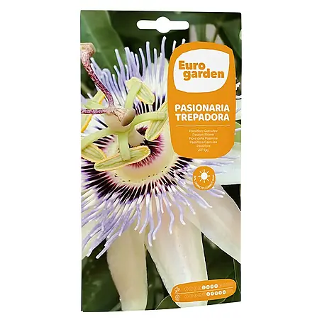 Euro Garden  Semillas de flores Flor de la pasión trepadora