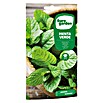 Euro Garden Semillas de hierbas Menta verde (Tiempo de siembra: Febrero, Cosecha: Mayo) | BAUHAUS