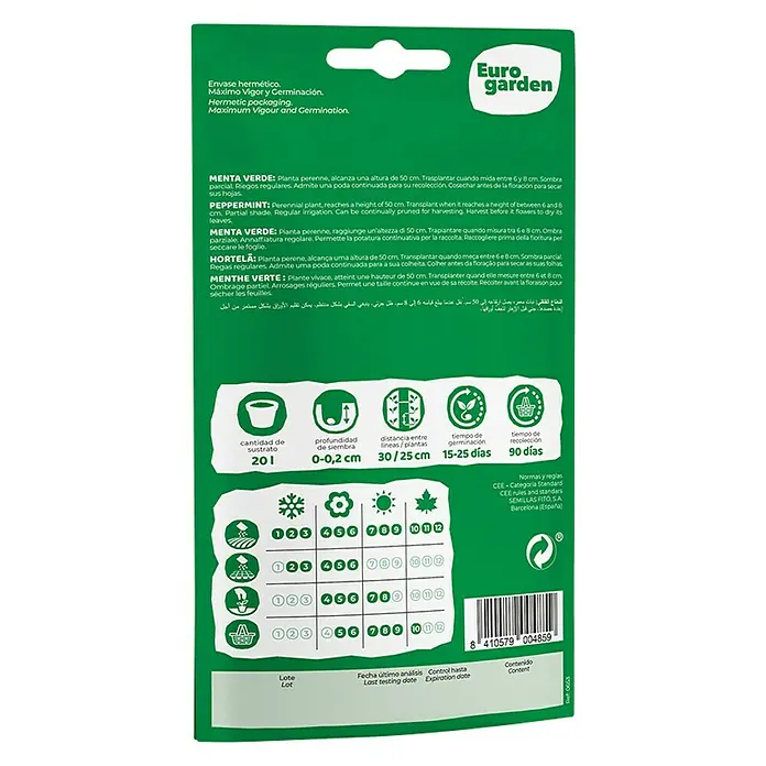 Euro Garden Semillas de hierbas Menta verde - Tiempo de siembra: Febrero, Cosecha: Mayo - Paquete de semillas de menta Eurogarden con instrucciones de siembra para un crecimiento sano y abundante.