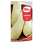 Calabacín Virginia