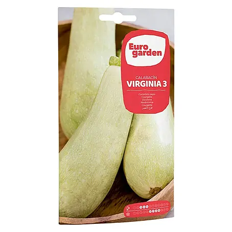Euro Garden  Semillas de vegetales Calabacín Virginia