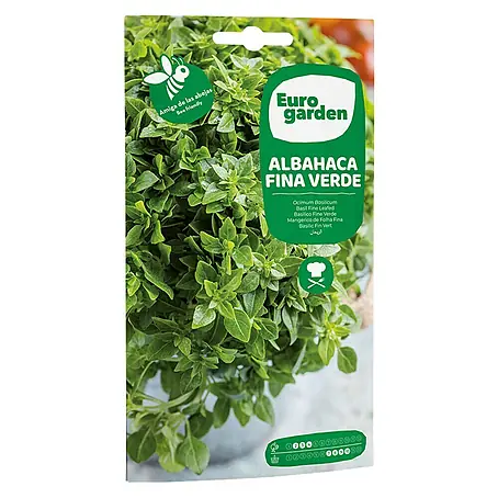 Euro Garden  Semillas de hierbas Albahaca fina verde
