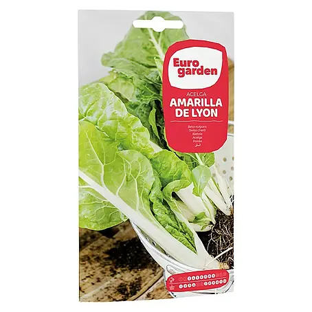 Euro Garden  Semillas de lechuga Amarilla de Lyon