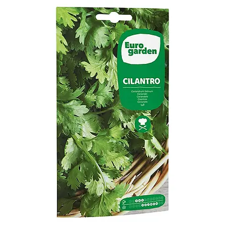 Euro Garden  Semillas de hierbas Cilantro