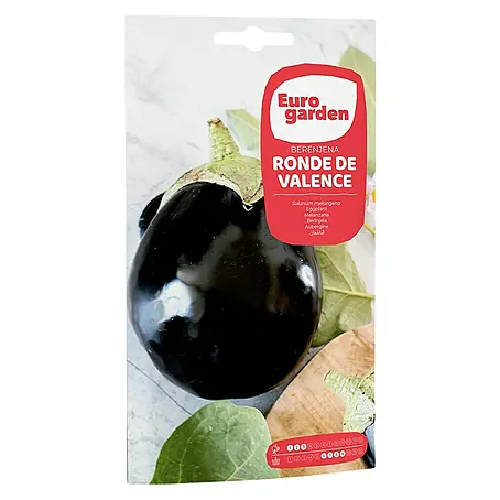 Euro Garden  Semillas de vegetales Berenjena redonda negra