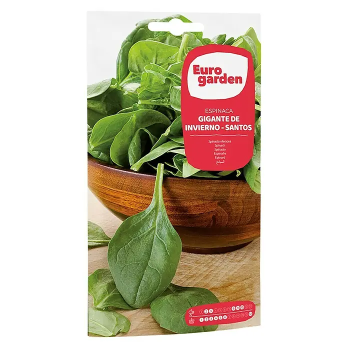 Euro Garden Semillas de vegetales Espinacas Gig Invierno Santo - Cosecha: Junio - Paquete de semillas de espinacas gigantes de invierno Santos Euro Garden, con espinacas frescas en un cuenco de madera.