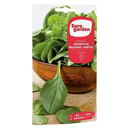 Euro Garden  Semillas de vegetales Espinacas Gig Invierno Santo