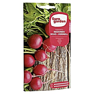 Euro Garden Semillas de vegetales Rabanito Redondo Rojo (Cosecha: Durante todo el año)