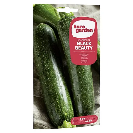 Euro Garden  Semillas de vegetales Calabacín Negro belleza