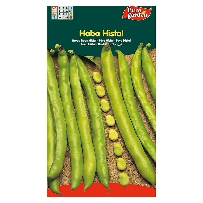 Euro Garden Semillas de vegetales Haba - Haba histal, Cosecha: Marzo - Paquete de semillas Haba Histal: Variedad de haba Histal, ideal para cultivar en tu propio jardín.
