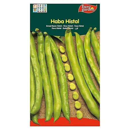 Euro Garden  Semillas de vegetales Haba