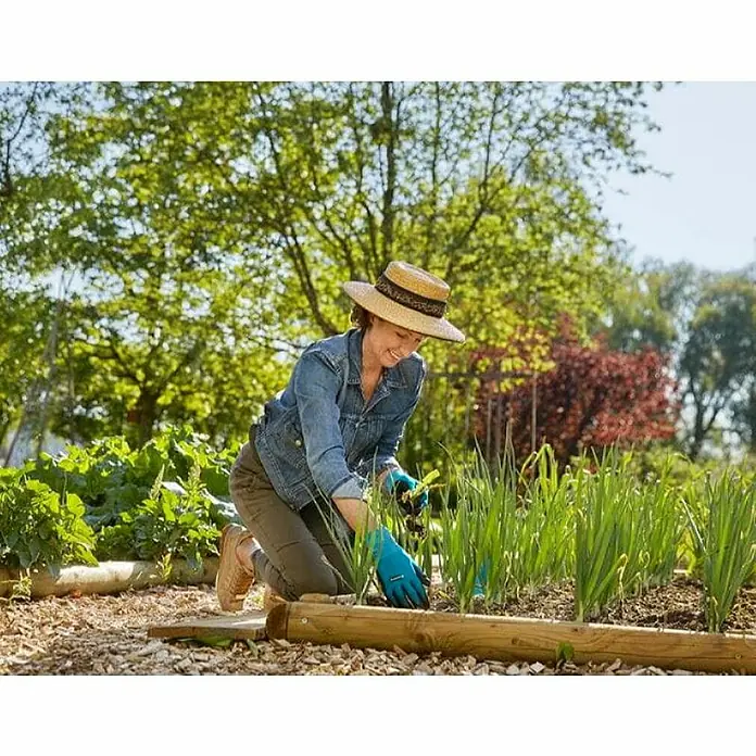 Gardena Gartenhandschuhe Pflanz- und Bodenarbeit - 8, M, Schwarzblau - Frau mit Gartenhandschuhen arbeitet im Gartenbeet, umgeben von Grünpflanzen und Holzeinfassungen.