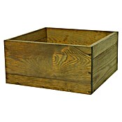 T & J Pflanzkasten Labo 3D gebeizt (36 x 36 x 17,5 cm, Holz, Braun, Passend für: Labo 3D) | BAUHAUS